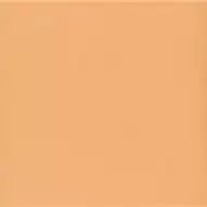 Technical Tangerine 20х20