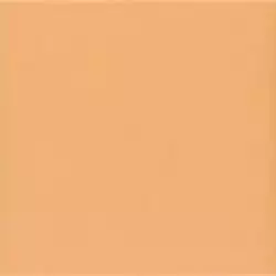 Technical Tangerine 20х20
