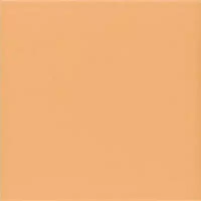 Technical Tangerine 20х20