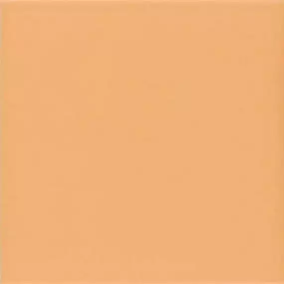 Technical Tangerine 20х20