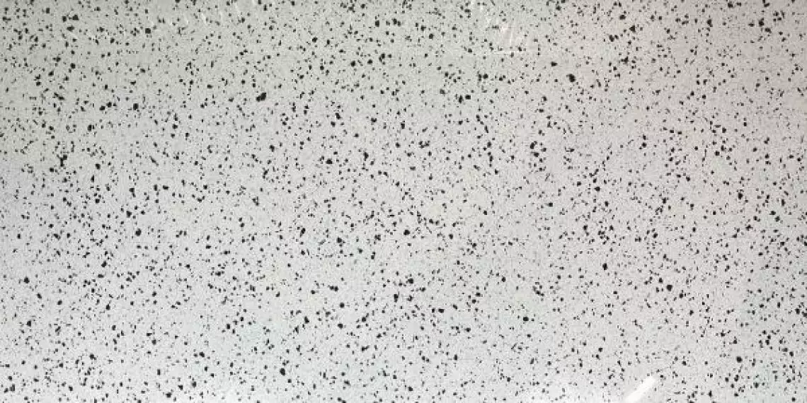 Terazzo Poiish Silver 60x120