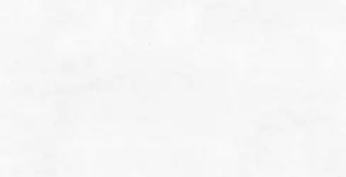 Terni White M 75x150
