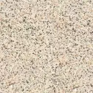 Terrazzo Beige R10 75.5x75.5