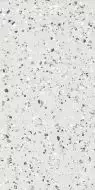 Terrazzo Plus Silver Mat 60x120