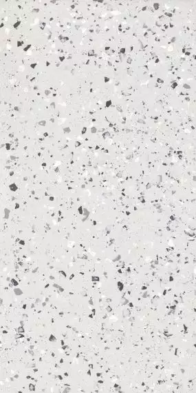 Terrazzo Plus Silver Mat 60x120