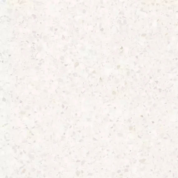 Terrazzo White R10 75.5x75.5