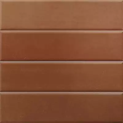 Terre Tandoori 5x20 20х20