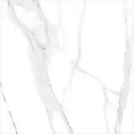 Thasos Polished 60x60