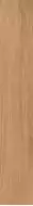 Timber Gold 19.8x120