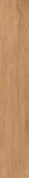 Timber Gold 19.8x120