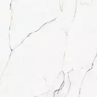 Torano Dorado Polished Rec 60x60