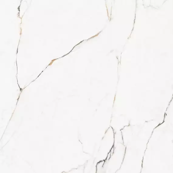 Torano Dorado Polished Rec 60x60