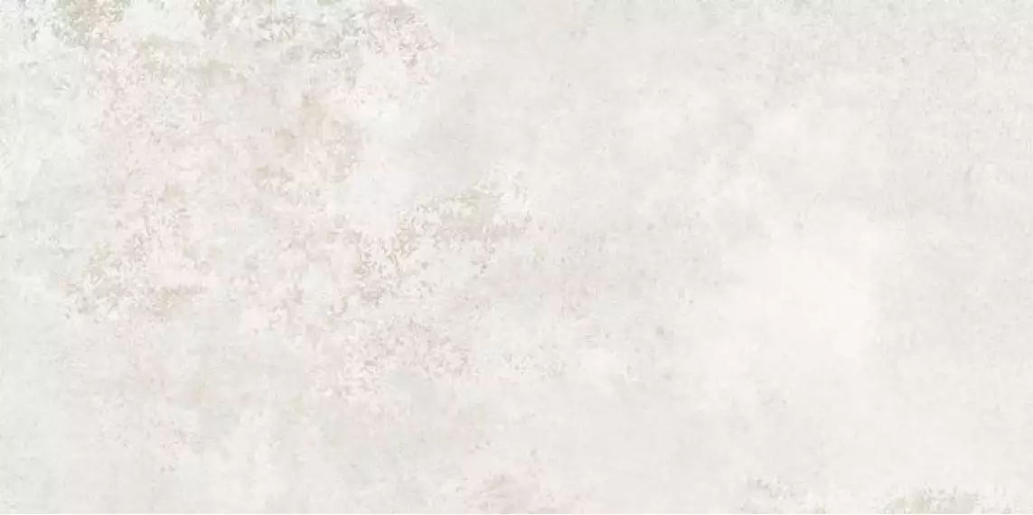 Torano white MAT 119.8x59.8