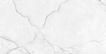 Torso Bianco Полированный 60х120