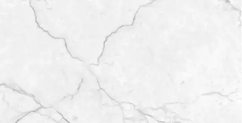 Torso Bianco Полированный 60х120