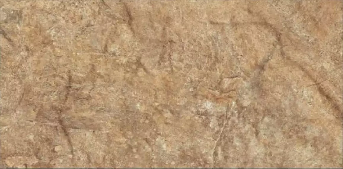 Torstone Kamien Brown 30x14.8