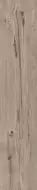 Tortora 20x100