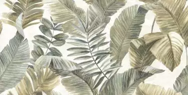 Touch Evo Dec.Tropical Green Rett 60x120