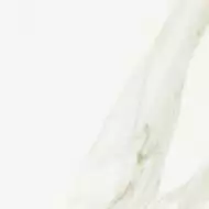 Tozzeto MJ5D 15*15