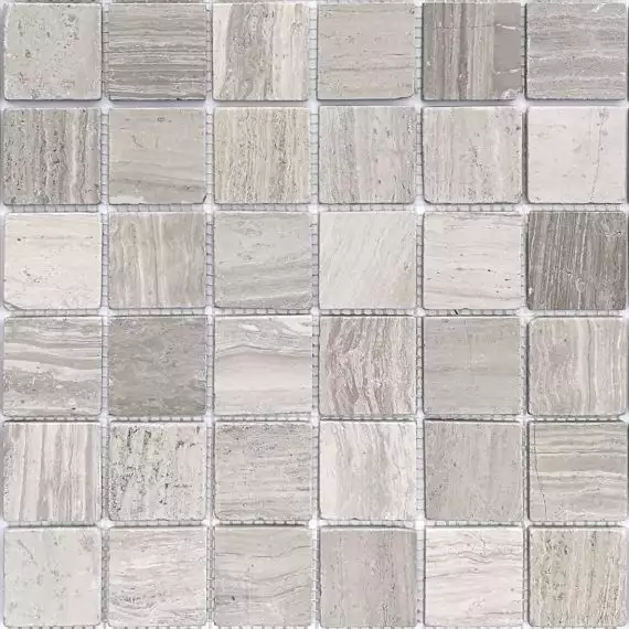 Travertino Silver MAT 48x48x7 305x305