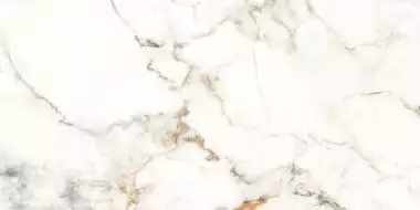 Trendy полированный 60x120