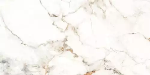 Trendy полированный 60x120