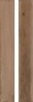 Treverkage Beige MM8X 10*70