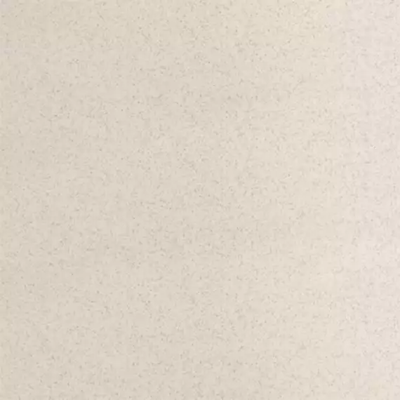 U117PR (бежевый соль-перец) полированный ректифицированный 60x60