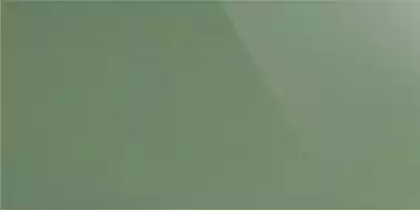 UF007 (зеленый моноколор) полированный ректифицированный 120х60