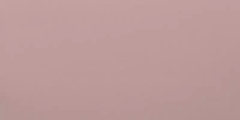 UF009 (розовый моноколор) матовый ректифицированный 120х60