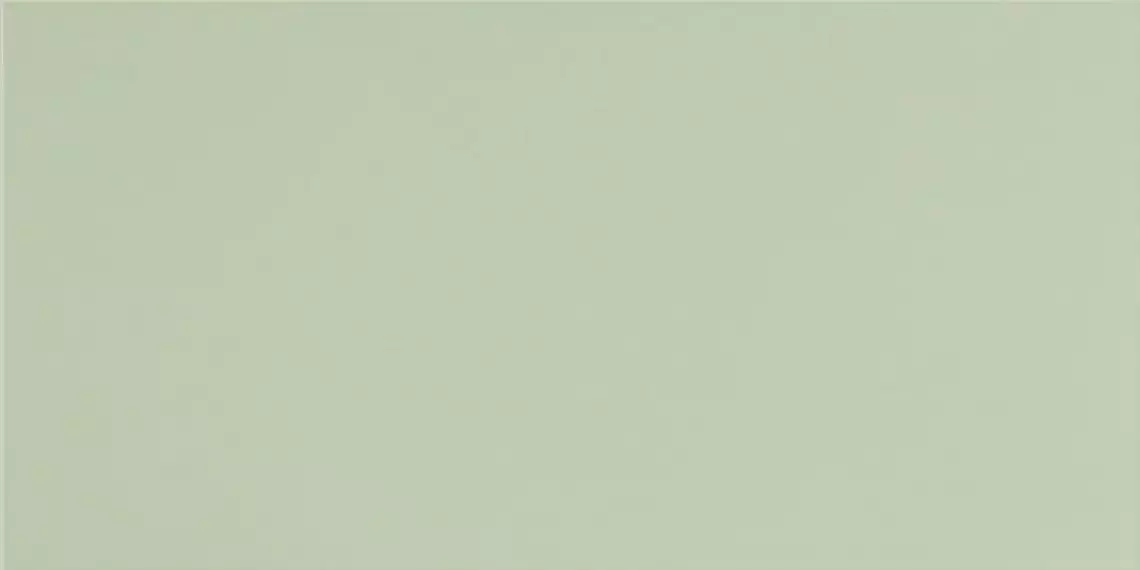 UF022 (фисташковый моноколор) матовый ректифицированный 120х60