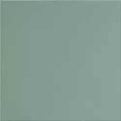 UF029 (мурена моноколор) antislip 60х60