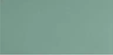 UF029 (мурена моноколор) матовый ректифицированный 120х60