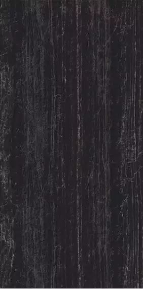 UM6L300465 Zebrino Black Luc Shiny 150x300