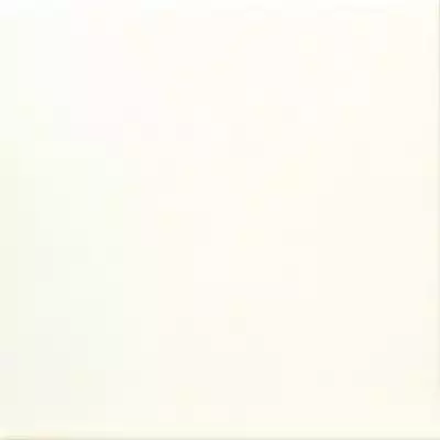 URBAN WHITE 20*20