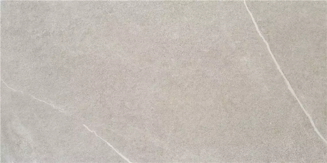 Udine Ceniza MT Rect 60x120