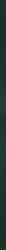 Uniwersalna Listwa Szklana Green 2.3x89.8