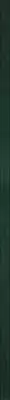 Uniwersalna Listwa Szklana Green 2.3x89.8