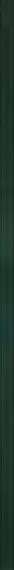 Uniwersalna Listwa Szklana Green 2.3x89.8