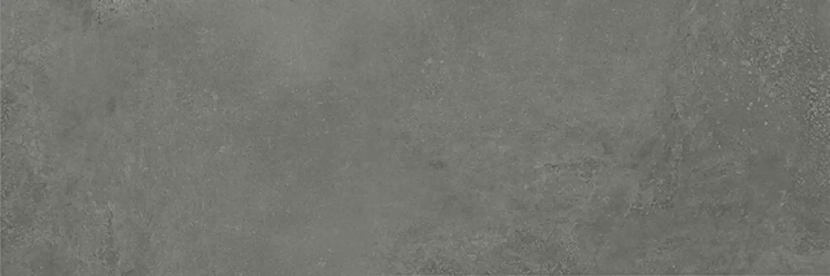 V13896421 Rhin Taupe 33,3x100