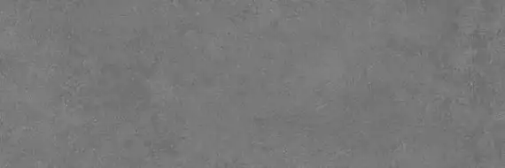 V14402551 Frame Dark 33,3x100