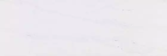 V1440314 RIVOLI MATT 33.3x100