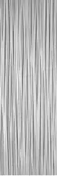 V14403171 Darwin Silver 33.3x100