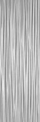 V14403171 Darwin Silver 33.3x100