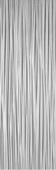 V14403171 Darwin Silver 33.3x100