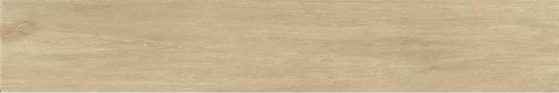 V52500041 Nebraska Tea 25x150