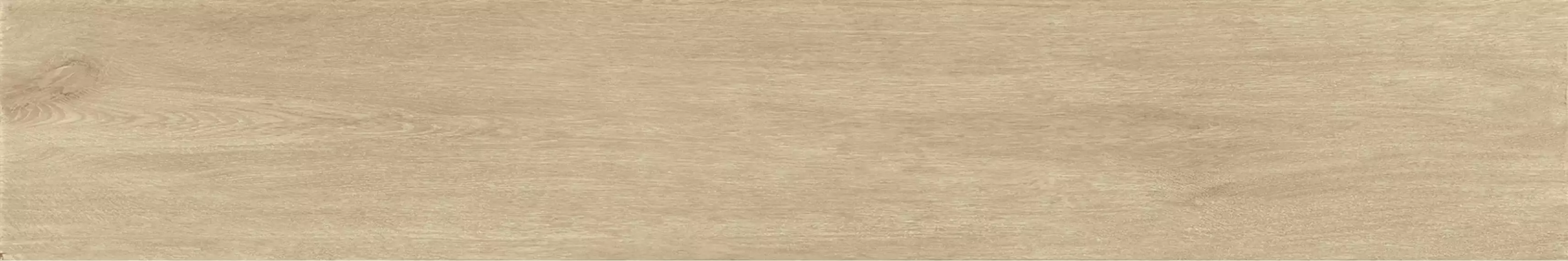 V52500041 Nebraska Tea 25x150