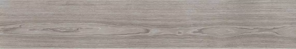 V5250007 Minnesota Ash 25x150