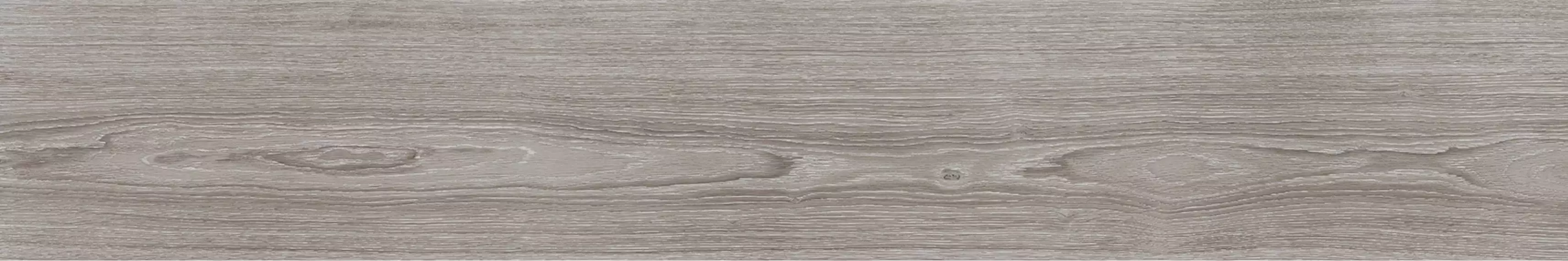 V5250007 Minnesota Ash 25x150