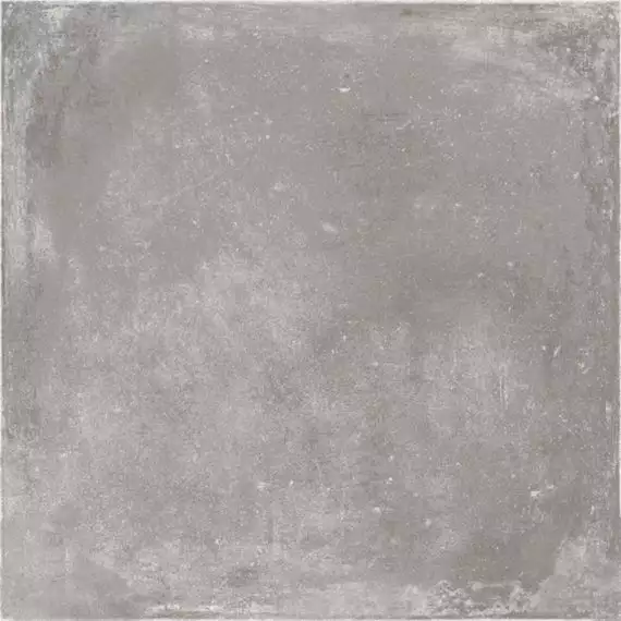 V55906601 Rhin Gris 59,6x59,6
